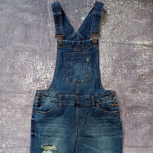 BLUE SPICE Women's Blue Denim Overalls - Picture 2 of 10